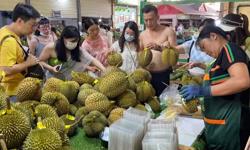 Cơn sốt sầu riêng Việt Nam ở Trung Quốc, giá ngang ngửa Thái Lan, Malaysia