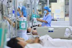 Cao điểm sốt xuất huyết