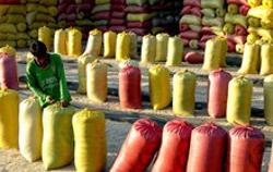 Cấp tín dụng cho nông dân bằng việc ký gửi lúa