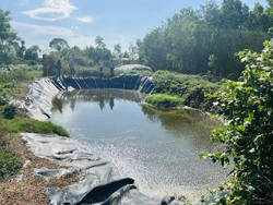 Đắk Lắk: Trang trại chăn nuôi quy mô lớn gây ô nhiễm môi trường