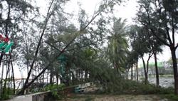 Cả nước mưa kéo dài trong nhiều ngày tới, đề phòng ngập úng