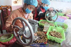 Sáp - mật ong nuôi trong hũ thủy tinh và Macca sấy của Đắk Lắk lọt Top 100 đặc sản quà tặng Việt Nam (2021 - 2022)