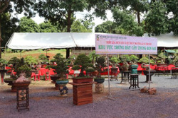 Trên 1.200 tác phẩm tham dự Hội thi và trưng bày sinh vật cảnh huyện Krông Ana