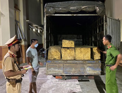Phát hiện ô tô chở 2,2 m3 gỗ không có hóa đơn, chứng từ