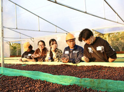 30 hợp tác xã được vay vốn ưu đãi