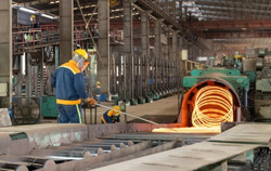 Tạo động lực cho doanh nghiệp phục hồi, phát triển