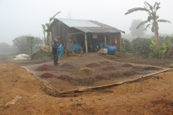 Rà soát, điều chỉnh, bổ sung danh sách xã, thôn vùng đồng bào dân tộc thiểu số và miền núi trên địa bàn tỉnh