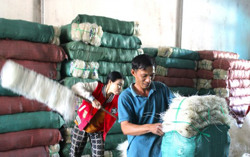 Làng nghề, nhà vườn tất bật “chạy đua” với Tết