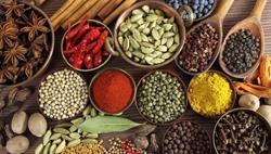 Tiềm năng to lớn của dược liệu Việt Nam