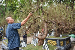 Hoa Tết giảm giá để kích cầu