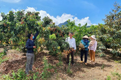 Cư Drăm biến khó khăn thành lợi thế