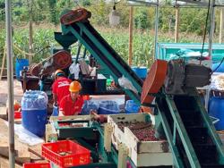 Xây dựng "Thành phố cà phê của thế giới"