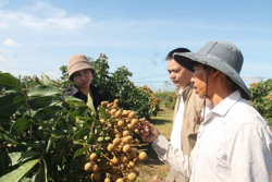 Huyện M’Drắk: Phát triển toàn diện trên các lĩnh vực