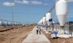 Huyện vùng biên phát triển ngành chăn nuôi