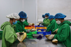 Sầu riêng đâu chỉ “ăn chơi”