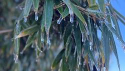 Bắc Bộ tiếp tục rét đậm, vùng núi khả năng có băng giá