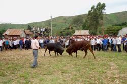 Những lễ hội ngày xuân ở vùng căn cứ