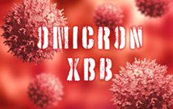 Biến thể phụ XBB của Omicron mới được phát hiện tại TP HCM có nguy hiểm?