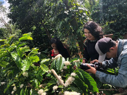 “Chuyện kể về cà phê Buôn Ma Thuột”