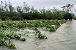 Ngày 16/10, vùng áp thấp có thể mạnh thêm, miền Trung tiếp tục mưa lớn