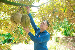 Thanh niên làm giàu từ mô hình kinh tế tổng hợp