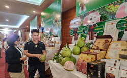 Hướng đi nào cho trái cây OCOP?