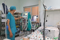  Tử vong do bệnh dại tăng