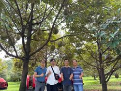 Chú ý khi khởi nghiệp với vườn sầu riêng