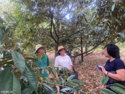 Sử dụng phân hữu cơ để trả lại hữu cơ cho đất