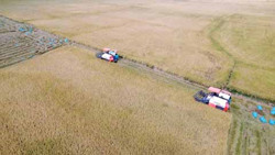 Phát triển kinh tế khu vực Tây Nguyên: Cần “bơm” tín dụng vào nông nghiệp