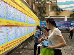 Thị trường lao động trên đà phục hồi