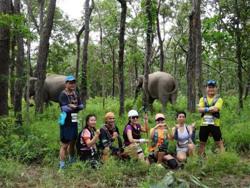 Giải chạy bộ xuyên rừng Yok Đôn - Thông điệp bảo vệ môi trường