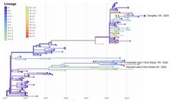 Chủng virus Mpox của bệnh nhân đậu mùa khỉ mới đây khác với 2 ca nhập cảnh trước đó