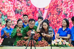 Bán nông sản trực tuyến: Quan trọng vẫn là chất lượng