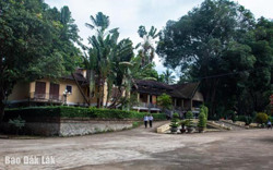 Hãy “trồng thật nhiều cây xanh”!