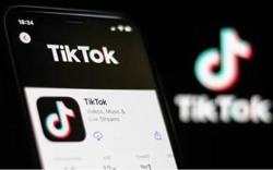 Kết quả thanh tra toàn diện hoạt động của TikTok tại Việt Nam