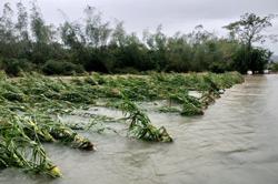 Khi nào bão số 4 suy yếu thành áp thấp nhiệt đới?