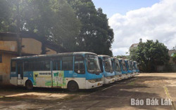 Từ 1/12: Ngừng khai thác 2 tuyến vận tải hành khách bằng xe buýt