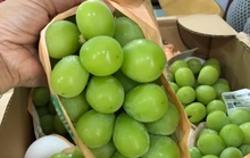 Lý do khiến lựu đỏ, nho mẫu đơn... ngày càng rẻ