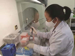 Kịp thời giám sát bệnh đậu mùa khỉ