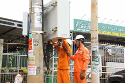 Đồng hành cùng vụ sầu riêng thắng lợi