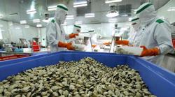 Cuối năm, dòng tiền chảy về đâu?