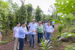 Triển vọng từ hợp tác đầu tư với Thụy Sĩ