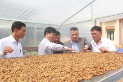 Khó khăn "bủa vây" hợp tác xã mới thành lập