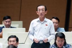 Đại biểu Trần Hoàng Ngân: Nên áp dụng giảm thuế GTGT cho tất cả mặt hàng