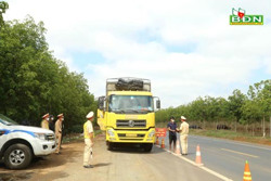 Đắk Nông ngăn chặn hiểm họa lái xe "phê" ma túy