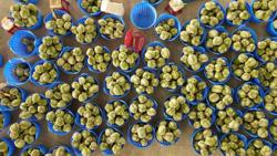 Mùa sầu riêng hỗn loạn: [Bài 3] Làm gì để hết cảnh tranh mua, tranh bán?