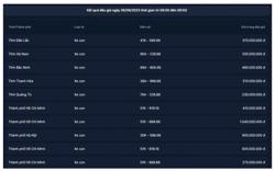 Đấu giá thành công hơn 5.400 biển số ô tô