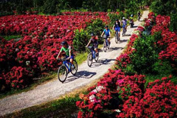 Phát triển du lịch nông thôn: Tìm cách khai thác “mỏ vàng” bền vững