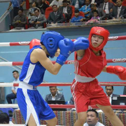 Hơn 320 vận động viên tranh tài tại Giải vô địch boxing toàn quốc năm 2023